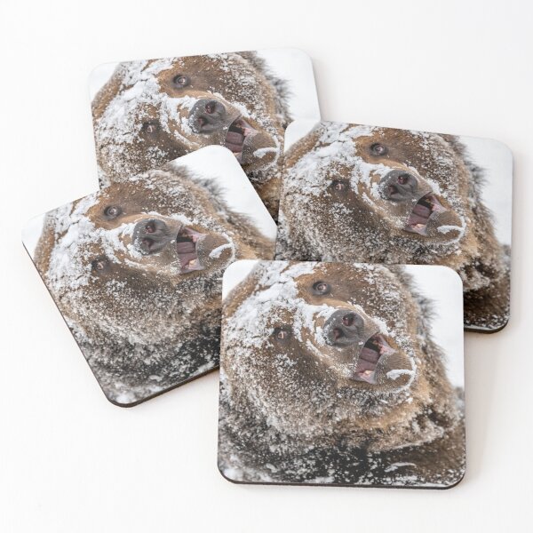Item preview, Brown bear with snow mask designed and sold by Ingo Gerlach.