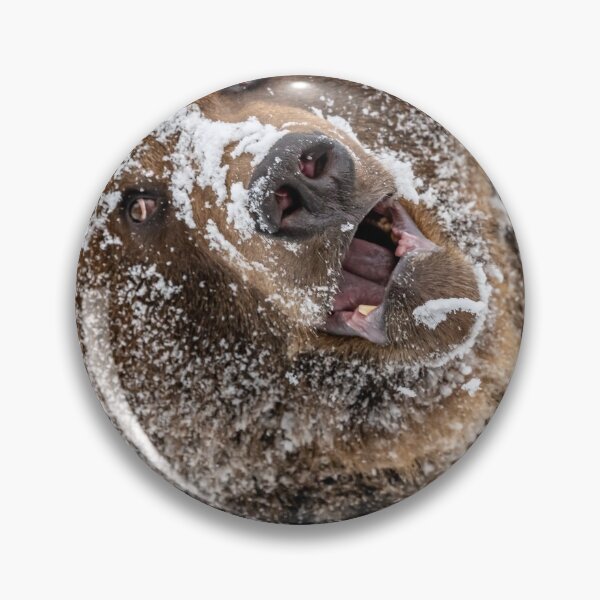 Item preview, Brown bear with snow mask designed and sold by Ingo Gerlach.
