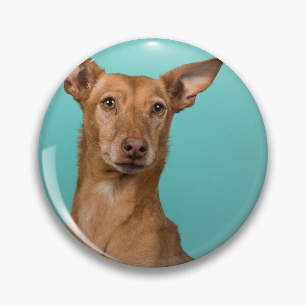 Item preview, Podenco designed and sold by chourouk shop ★★★★★.