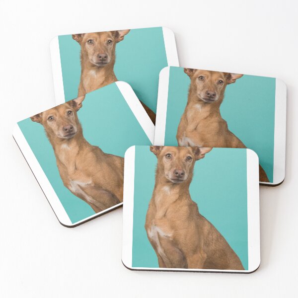 Item preview, Podenco designed and sold by chourouk shop ★★★★★.