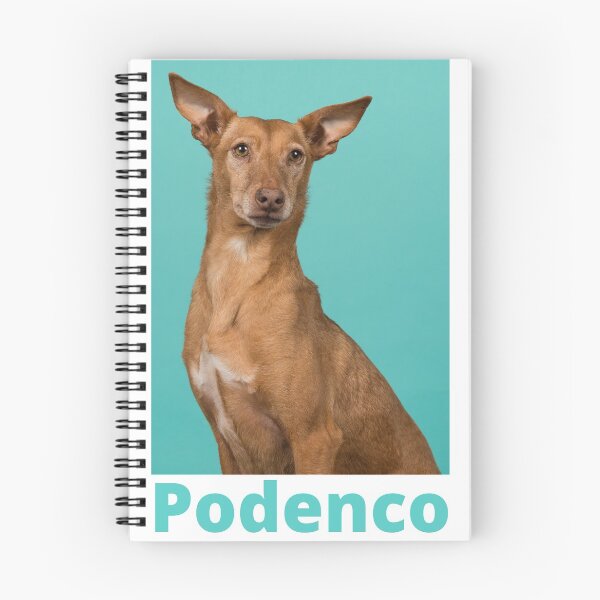 Item preview, Podenco designed and sold by chourouk shop ★★★★★.