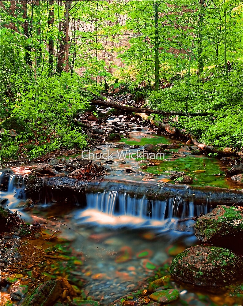 Mountain Stream Spring