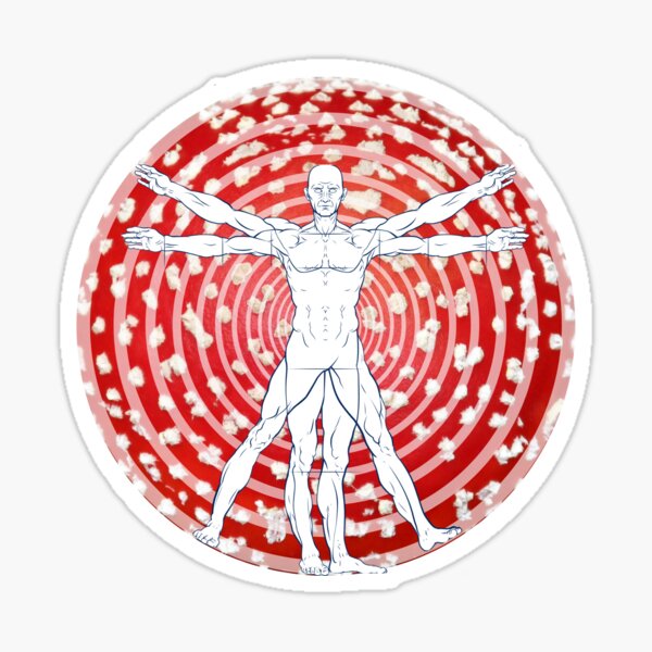 Item preview, vitruvian mushroom. amanita muscaria designed and sold by Quadrupel.