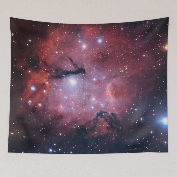 Item preview, Gum 15 and Trifid Nebula (M20) - Star formation region and emission nebula in the constellation of Vela designed and sold by Raureif.