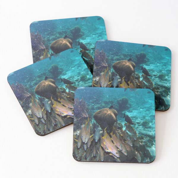 Item preview, Hol Chan Cut - Ambergris Caye Belize designed and sold by DocSaunders.