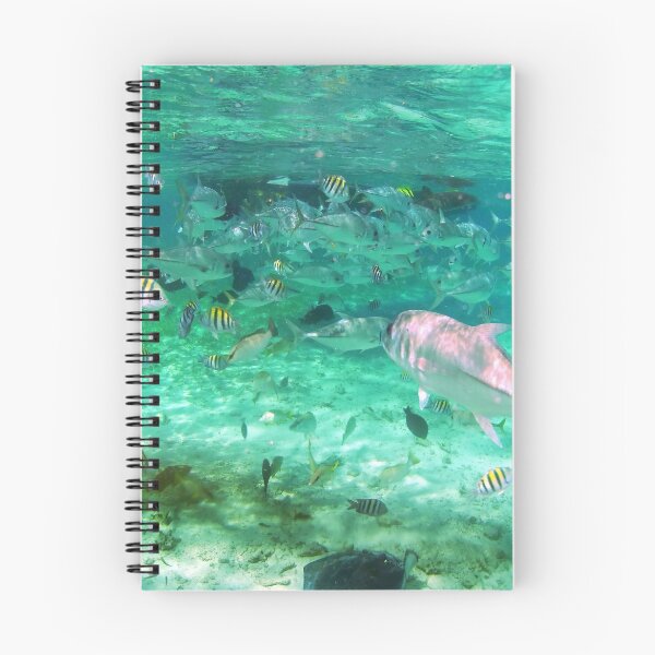 Item preview, Hol Chan Cut - Ambergris Caye Belize designed and sold by DocSaunders.