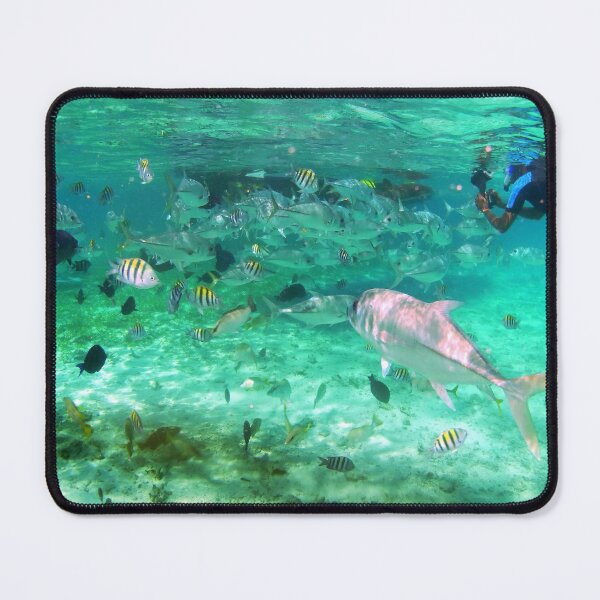 Item preview, Hol Chan Cut - Ambergris Caye Belize designed and sold by DocSaunders.
