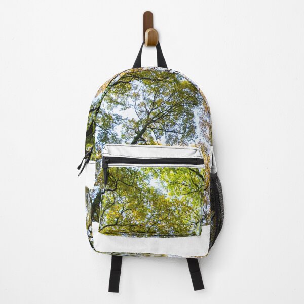 Item preview, Looking up into the trees.  Ancient wood near Ludlow designed and sold by HalcyonPrints.