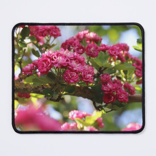 Item preview, Red Hawthorn designed and sold by cuprum.