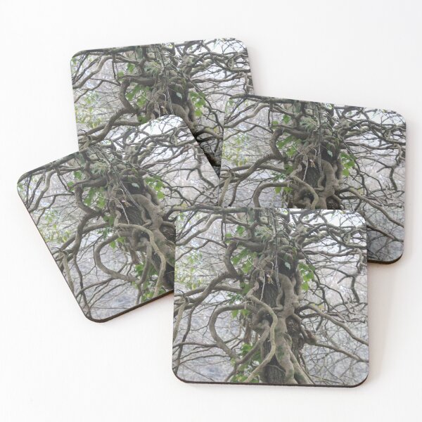 Item preview, Real Magical Twisted Tree With Many Branches designed and sold by InterOptic.
