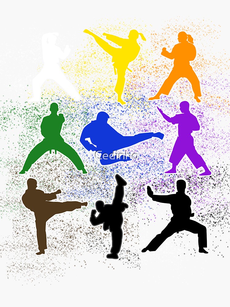 "Shotokan and Kumite Karate Fighter Different Belt Colors" Sticker for