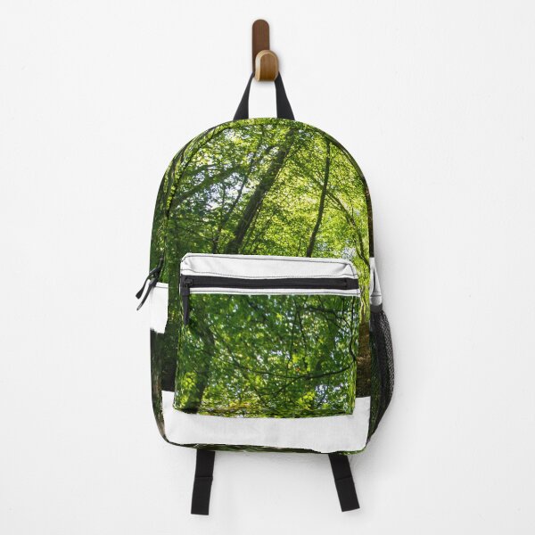 Item preview, Sol de noviembre a través de los árboles en Whitcliffe Common designed and sold by HalcyonPrints.