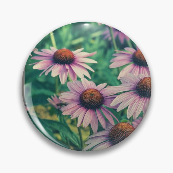 Item preview, Echinacea Purpurea Flowers For Nature and Botanical Flowers Lover - Echinacea Purpurea designed and sold by lodarohit.