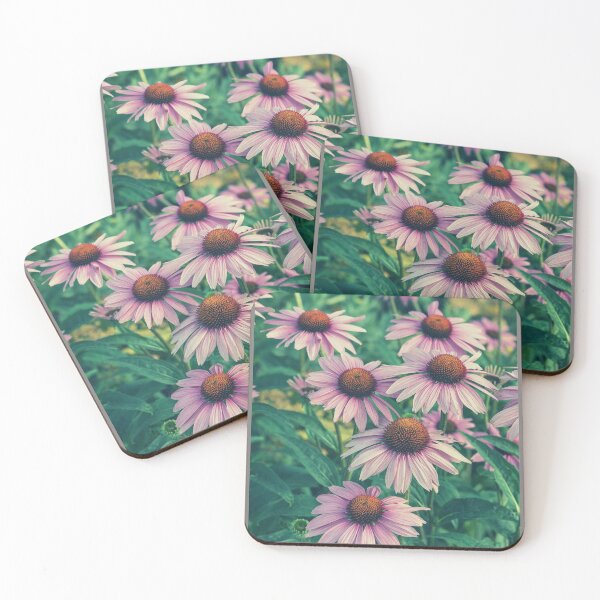 Item preview, Echinacea Purpurea Flowers For Nature and Botanical Flowers Lover - Echinacea Purpurea designed and sold by lodarohit.