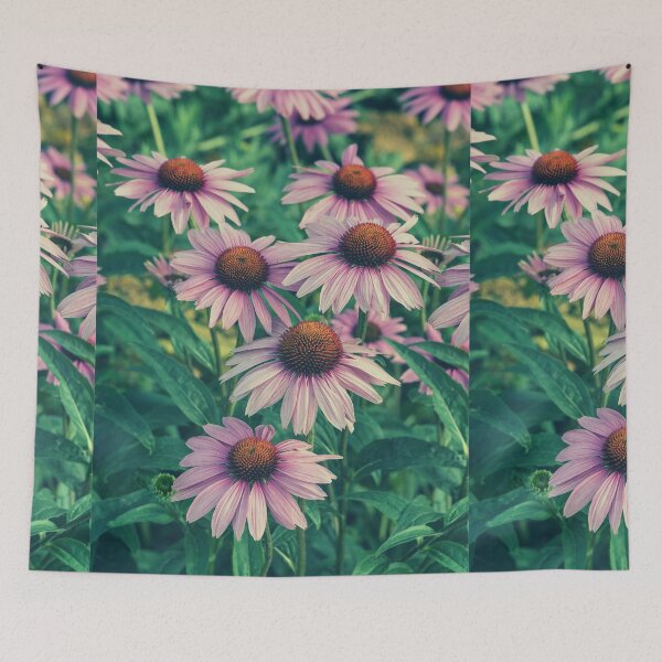 Item preview, Echinacea Purpurea Flowers For Nature and Botanical Flowers Lover - Echinacea Purpurea designed and sold by lodarohit.