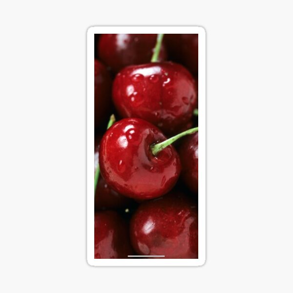 Cherries Sticker