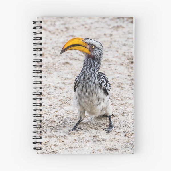 Item preview, Southern yellow-billed hornbill, Namibia designed and sold by Lyl Dil Creations.