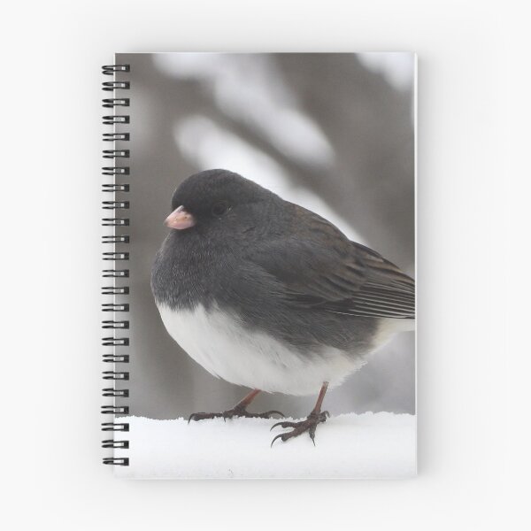 Item preview, Dark Eyed Junco Photograph designed and sold by Jeda1429.