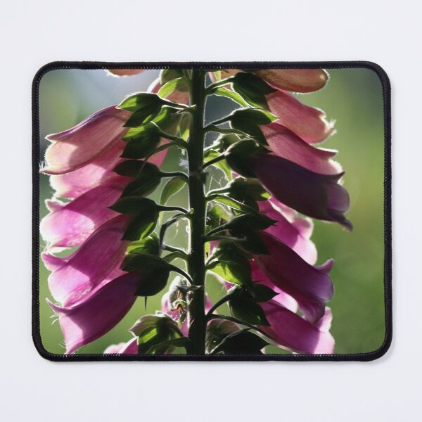 Item preview, Digitalis Symmetry designed and sold by cuprum.