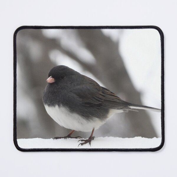 Item preview, Dark Eyed Junco Photograph designed and sold by Jeda1429.