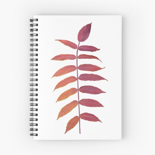Item preview, Autumn Sumac Leaf designed and sold by Wondersofwhimsy.