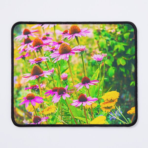 Item preview, Echinacea Purpurea Flowers For Nature and Botanical Flowers Lover - Echinacea Purpurea designed and sold by lodarohit.