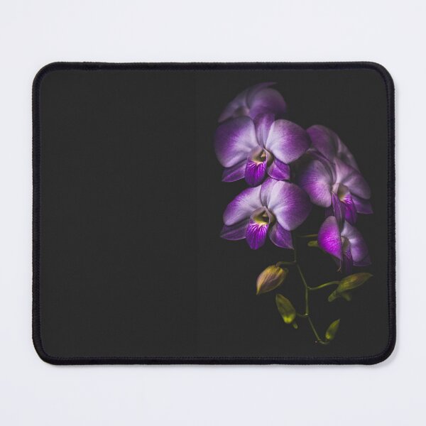 Item preview, Purple Orchid on black designed and sold by alan shapiro.