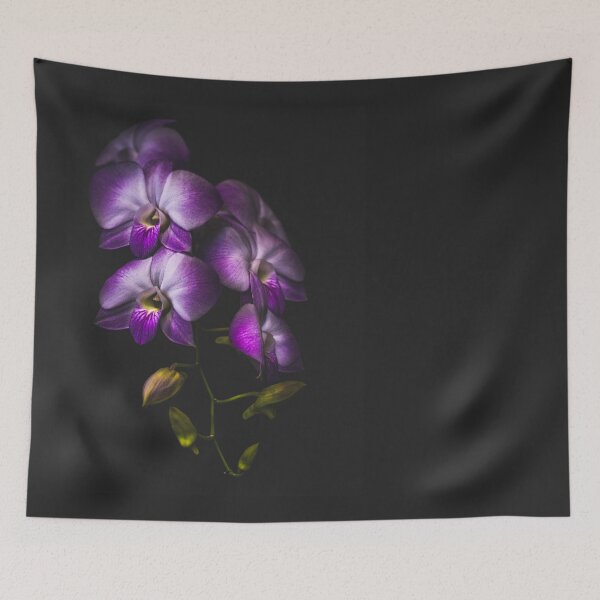 Item preview, Purple Orchid on black designed and sold by alan shapiro.