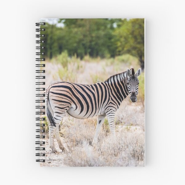 Item preview, Burchell's plain zebra, Namibia designed and sold by Lyl Dil Creations.