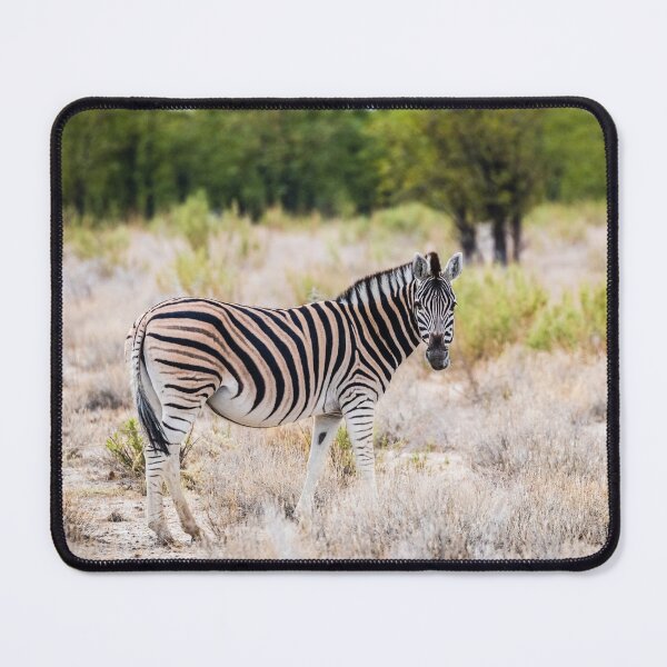 Item preview, Burchell's plain zebra, Namibia designed and sold by Lyl Dil Creations.