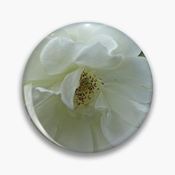 Item preview, White Summer Damask Rose Macro designed and sold by worldways.