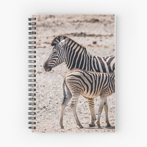 Item preview, Zebra foal nursing, Namibia designed and sold by Lyl Dil Creations.