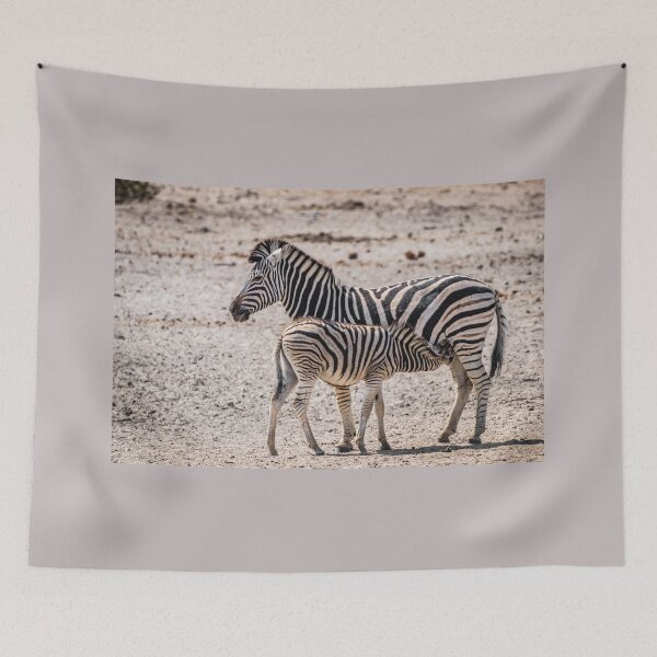 Item preview, Zebra foal nursing, Namibia designed and sold by Lyl Dil Creations.