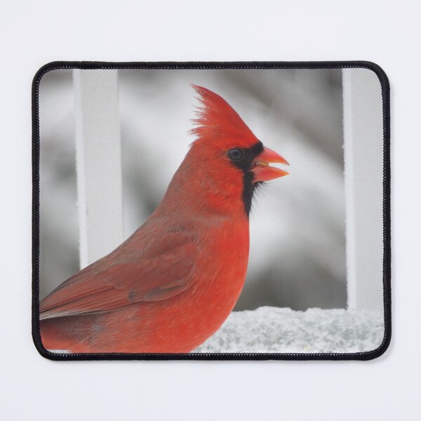 Item preview, Cardinal Photo designed and sold by Jeda1429.