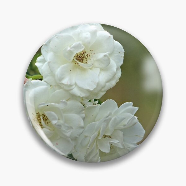 Item preview, White Summer Damask Roses Branch designed and sold by worldways.
