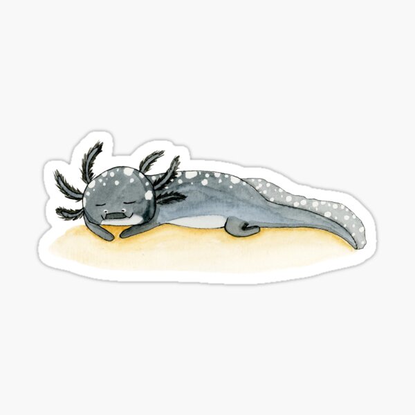 Vista previa del artículo con la obra «Axolotl durmiendo», diseñado y vendido por Wunschkritzel.