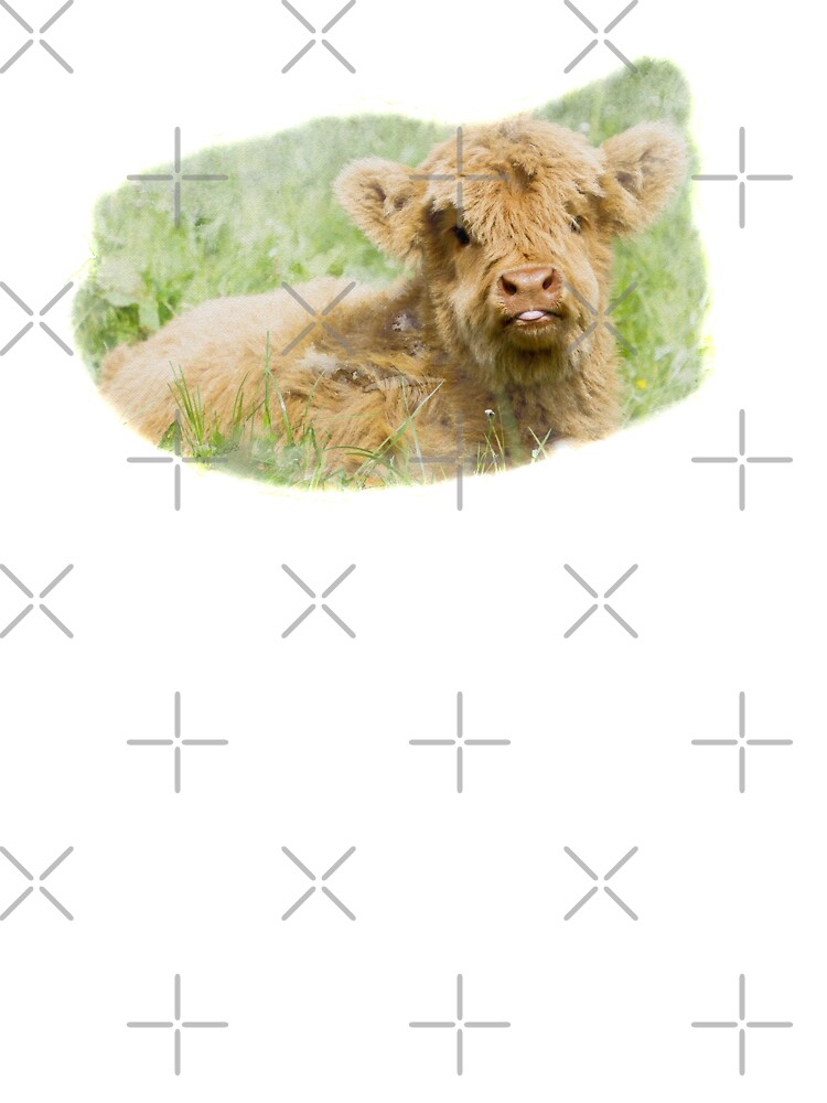 Raspberry Cow Photographic Print for Sale by Jane Stanley