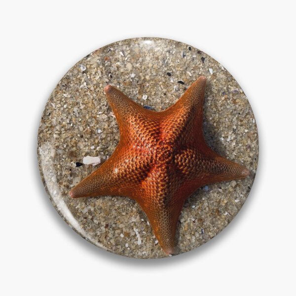 Item preview, seastar designed and sold by SaharBareket.