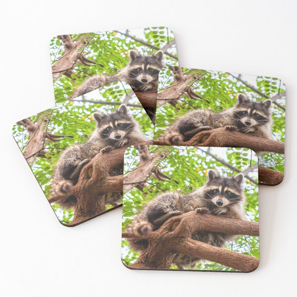 Item preview, I look down on you designed and sold by Dalyndigital Photography.