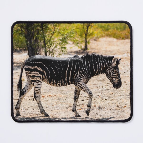 Item preview, Black zebra, Namibia designed and sold by Lyl Dil Creations.
