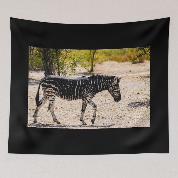 Item preview, Black zebra, Namibia designed and sold by Lyl Dil Creations.