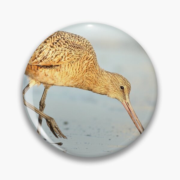 Item preview, Marbled Godwit designed and sold by adjohnson.