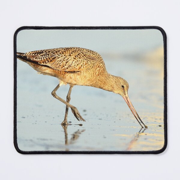 Item preview, Marbled Godwit designed and sold by adjohnson.