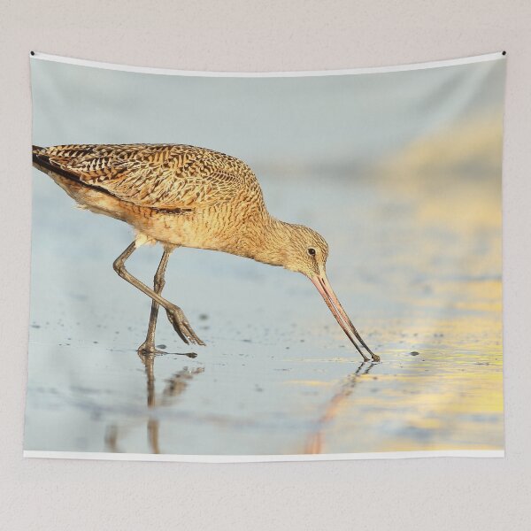 Item preview, Marbled Godwit designed and sold by adjohnson.