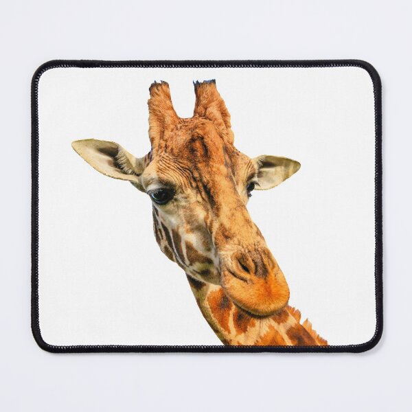 Item preview, Giraffe head designed and sold by Dalyndigital Photography.