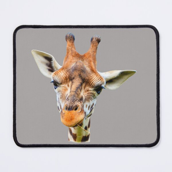 Item preview, Mr G Raff looking at you designed and sold by Dalyndigital Photography.