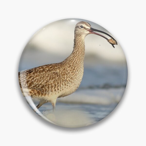 Item preview, Whimbrel designed and sold by adjohnson.