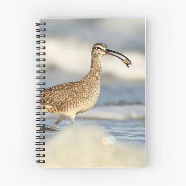 Item preview, Whimbrel designed and sold by adjohnson.