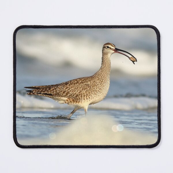 Item preview, Whimbrel designed and sold by adjohnson.