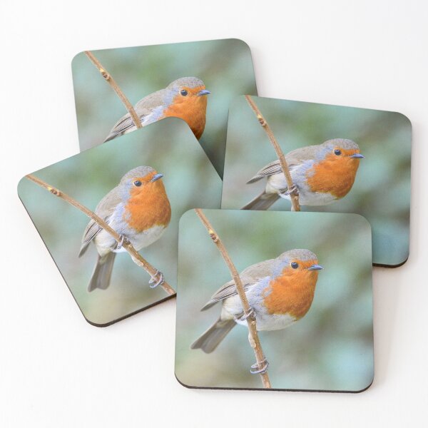 Item preview, Mr Redbreast designed and sold by Carla Maloco.